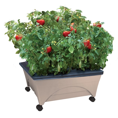 Emsco Group Raised Bed Grow Box, Self Watering and Improved Aeration, Mobile Unit with Casters, Sand 2342-1HD